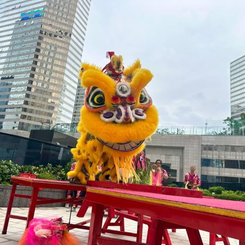 弘揚龍獅藝術 (6)