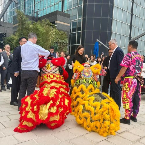 弘揚龍獅藝術 (9)