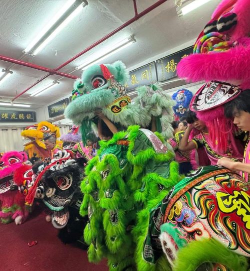 WhatsApp Image 2026-01-15 at 10.35.41 PM