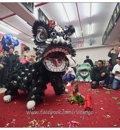 WhatsApp Image 2026-01-15 at 11.21.38 PM (1)