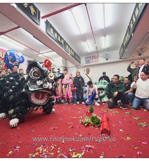 WhatsApp Image 2026-01-15 at 11.21.38 PM (2)