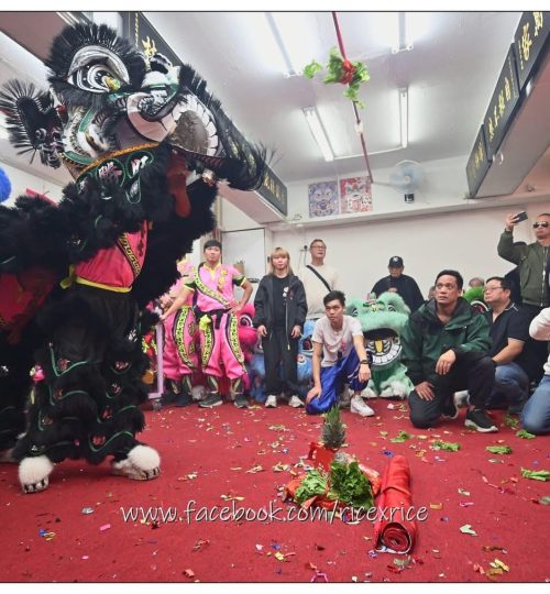 WhatsApp Image 2026-01-15 at 11.21.38 PM (3)