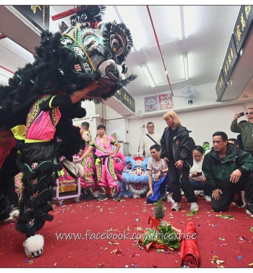 WhatsApp Image 2026-01-15 at 11.21.38 PM (4)