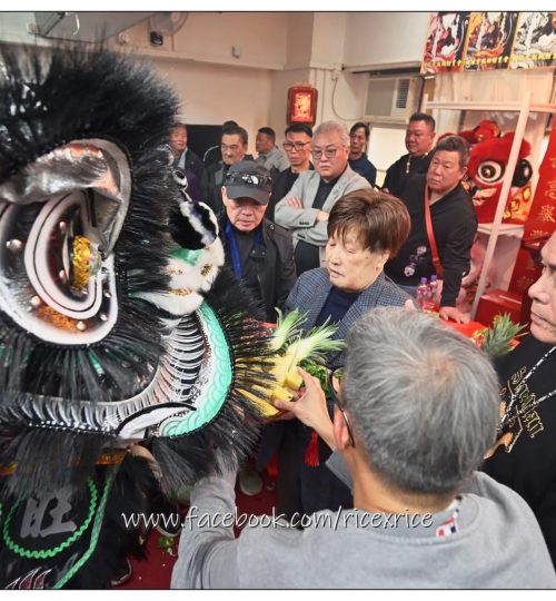 WhatsApp Image 2026-01-15 at 11.21.38 PM (6)