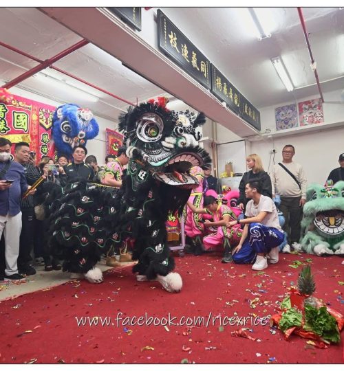 WhatsApp Image 2026-01-15 at 11.21.38 PM