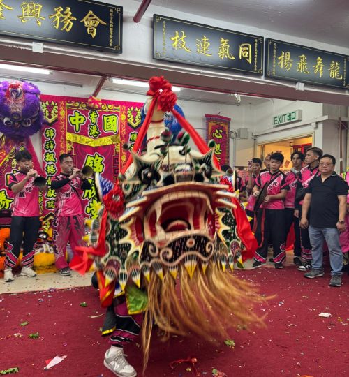 WhatsApp Image 2026-01-17 at 2.12.15 PM (3)