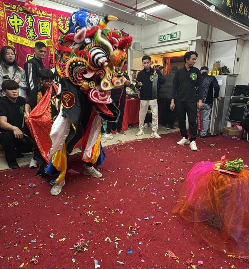 WhatsApp Image 2026-01-17 at 4.01.36 PM (2)