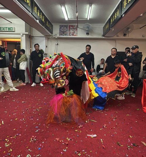 WhatsApp Image 2026-01-17 at 4.01.36 PM (3)