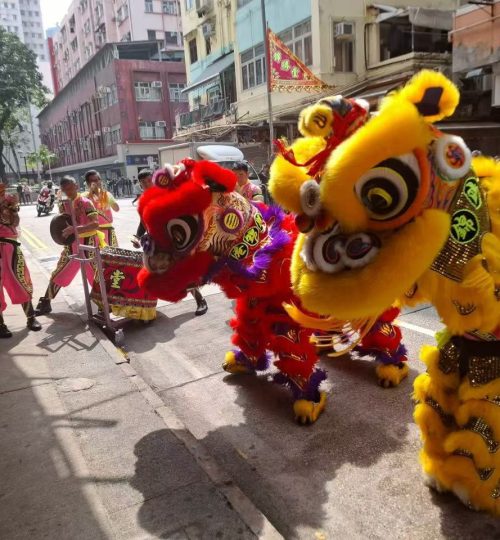 WhatsApp Image 2026-02-22 at 9.28.53 PM (2)