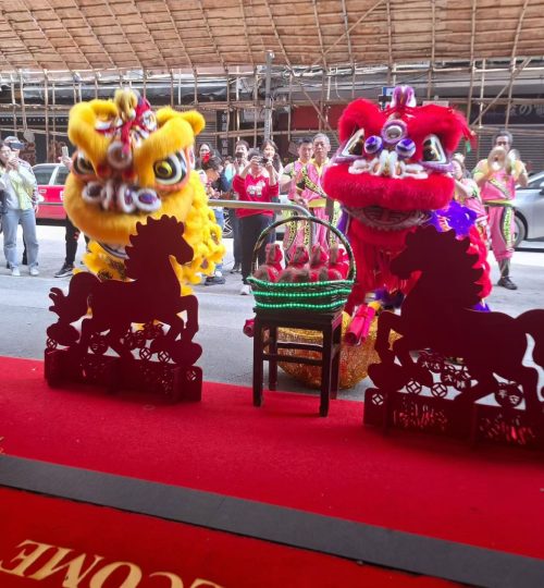 WhatsApp Image 2026-02-22 at 9.28.53 PM