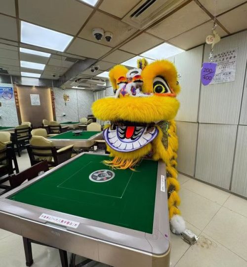 WhatsApp Image 2026-02-22 at 9.28.54 PM (1)