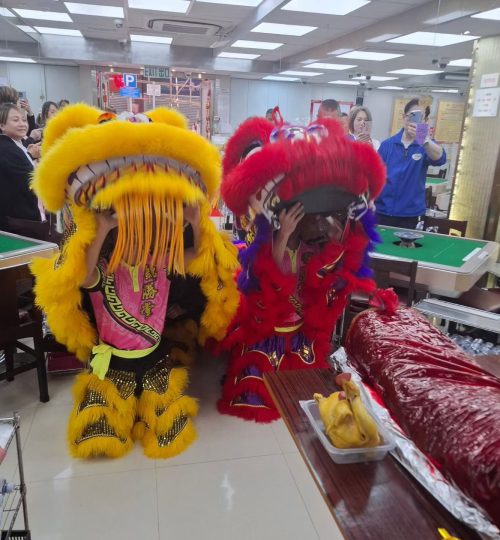 WhatsApp Image 2026-02-22 at 9.31.00 PM