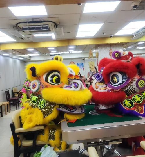 WhatsApp Image 2026-02-22 at 9.31.01 PM