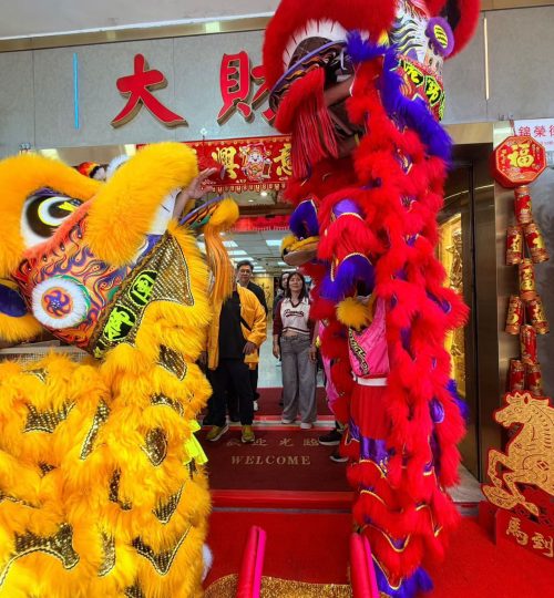 WhatsApp Image 2026-02-22 at 9.31.02 PM (1)