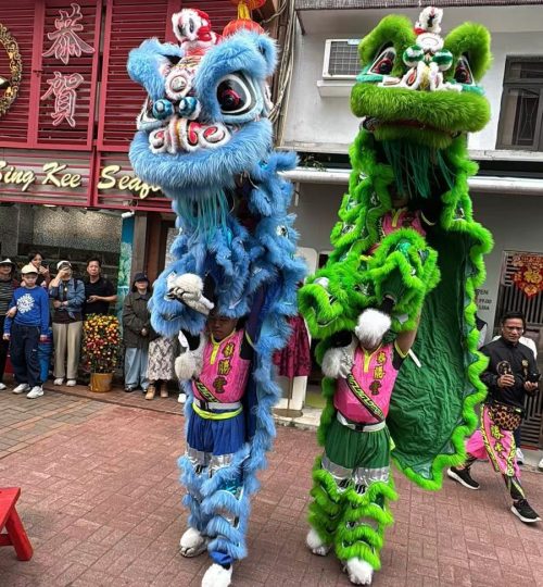 WhatsApp Image 2026-02-22 at 9.32.42 PM (3)