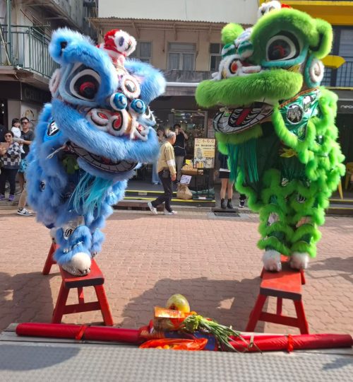 WhatsApp Image 2026-02-22 at 9.32.43 PM