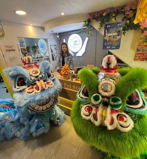 WhatsApp Image 2026-02-22 at 9.33.55 PM (1)