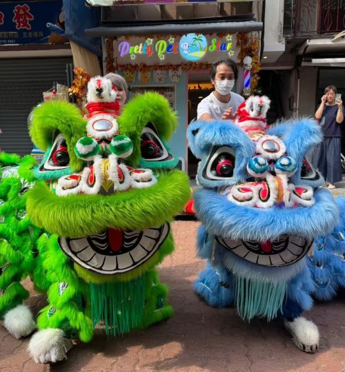 WhatsApp Image 2026-02-22 at 9.33.56 PM (1)