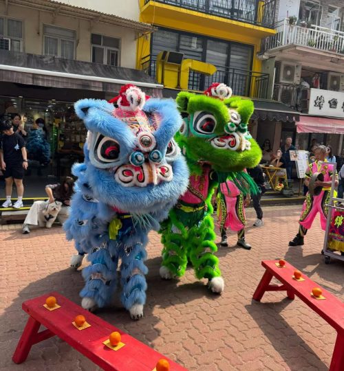 WhatsApp Image 2026-02-22 at 9.33.56 PM